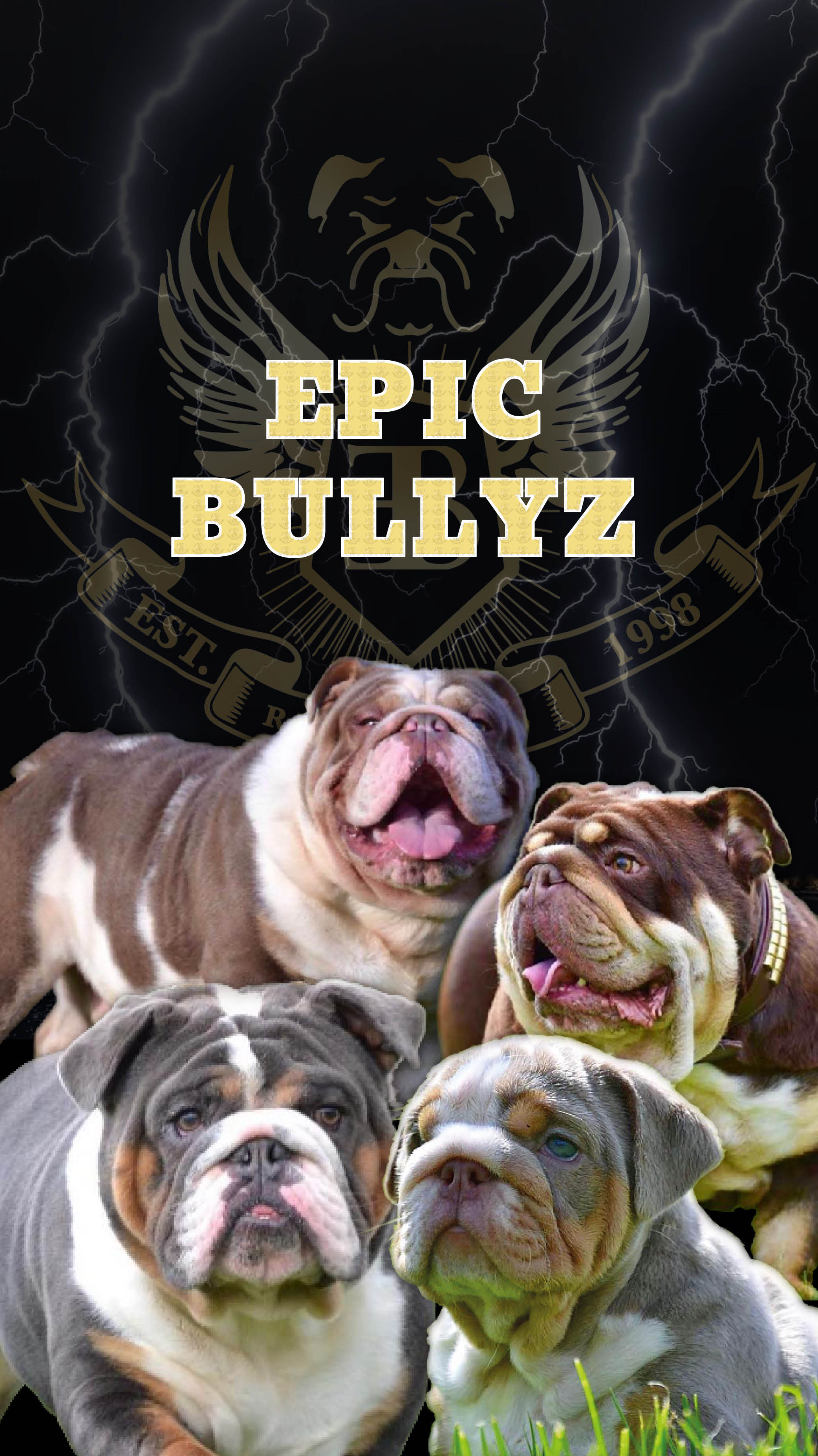 Epic Bullyz — Rare Coloured Bulldogs